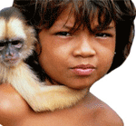 amazonia