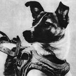 laika_portada